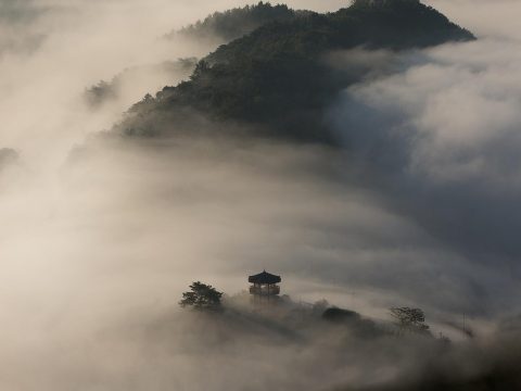 韩国电影专区封面展示，多部韩国院线大片和独立电影海报并排，包含犯罪悬疑和社会写实类型，色调冷峻有力